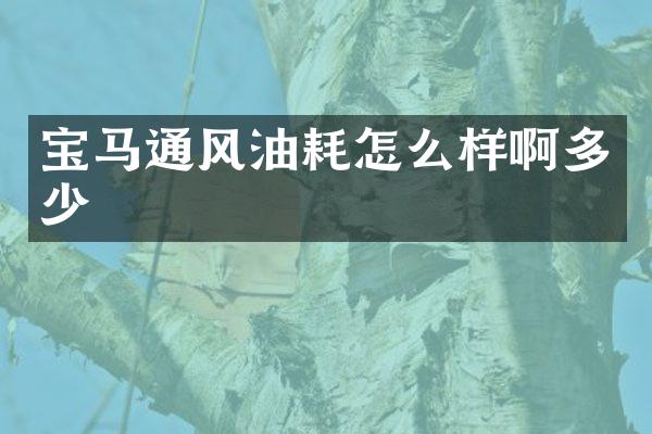 宝马通风油耗怎么样啊多少