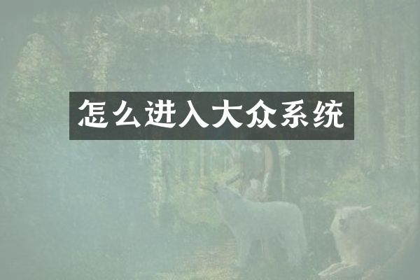 怎么进入大众系统