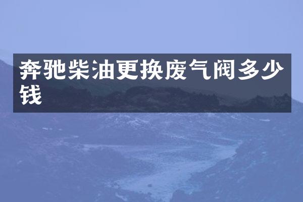 奔驰柴油更换废气阀多少钱