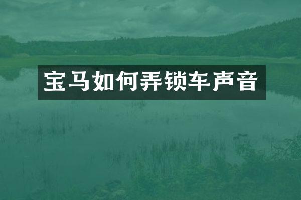 宝马如何弄锁车声音