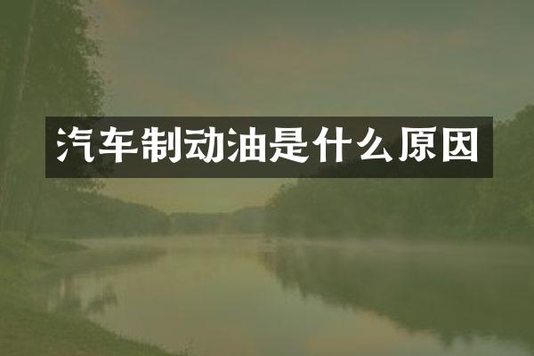 汽车制动油是什么原因