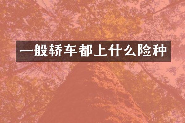 一般轿车都上什么险种