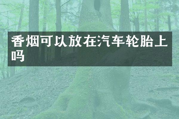 可以放在汽车轮胎上吗