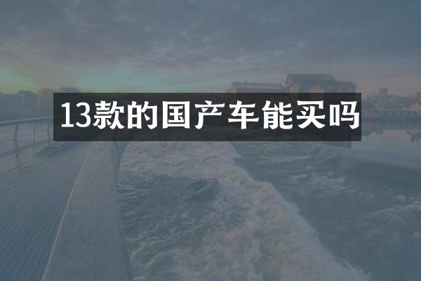 13款的国产车能买吗