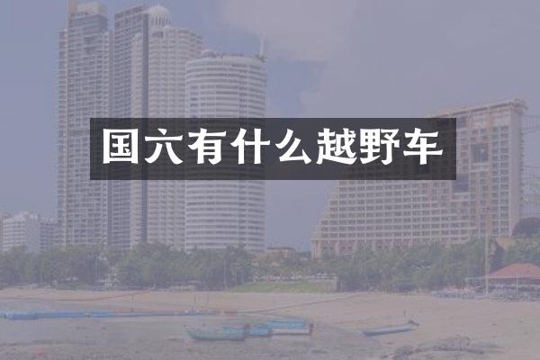 国六有什么越野车