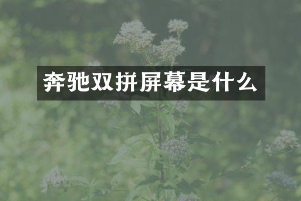 奔驰双拼屏幕是什么