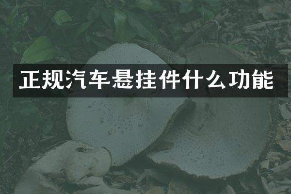 正规汽车悬挂件什么功能