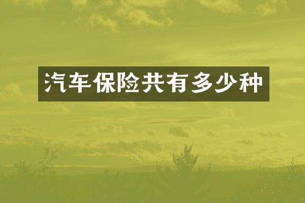 汽车保险共有多少种