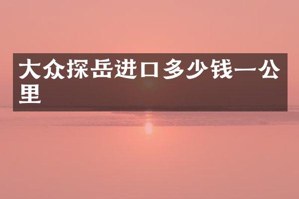 大众探岳进口多少钱一公里