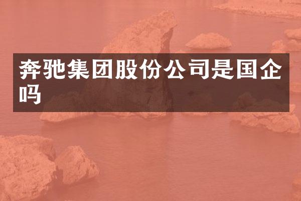 奔驰集团股份公司是国企吗