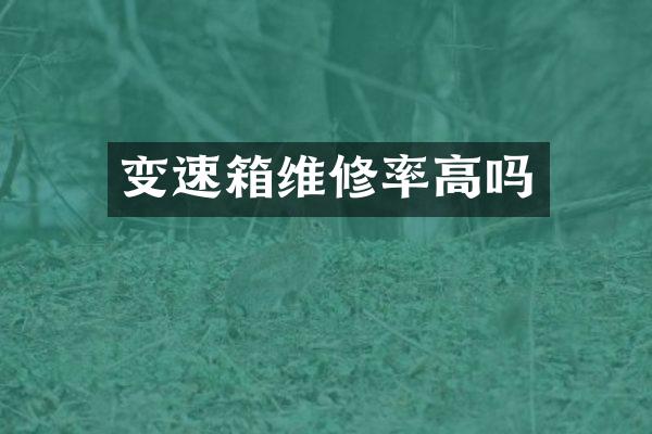 变速箱维修率高吗