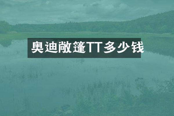 奥迪敞篷TT多少钱