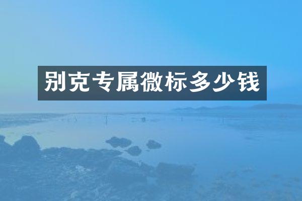 别克专属微标多少钱