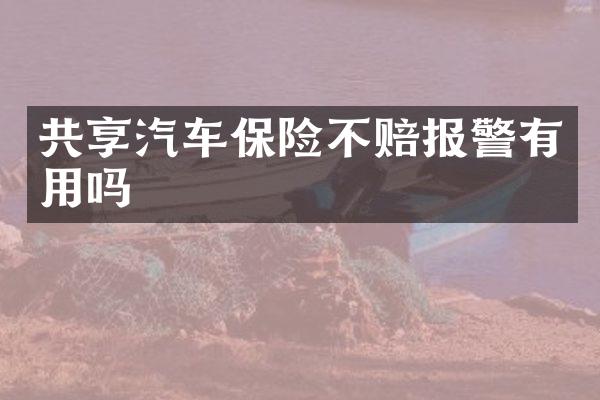 共享汽车保险不赔报警有用吗