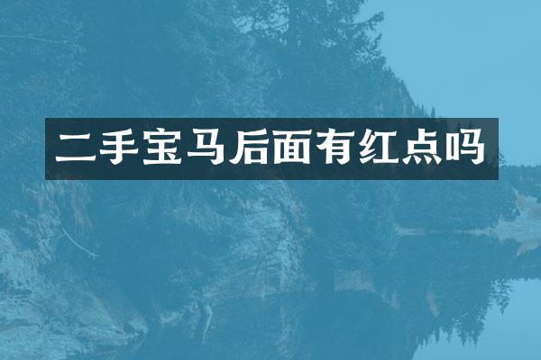二手宝马后面有红点吗