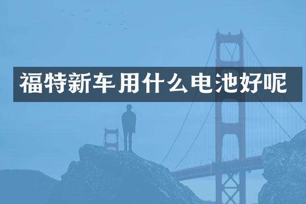 福特新车用什么电池好呢