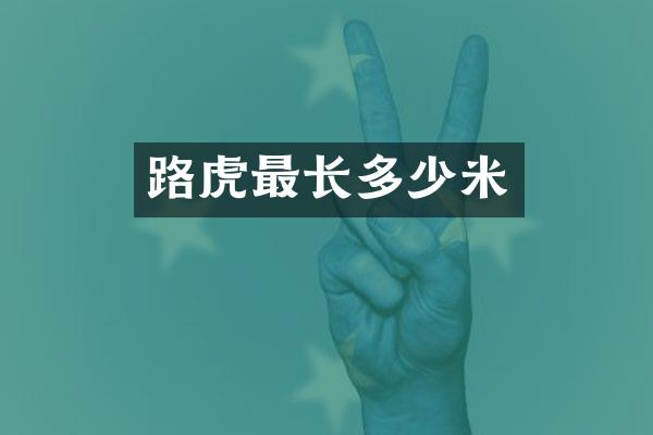 路虎最长多少米
