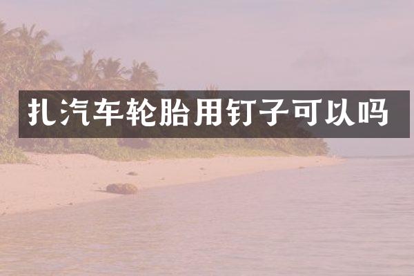 扎汽车轮胎用钉子可以吗
