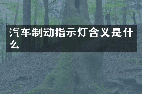 汽车制动指示灯含义是什么
