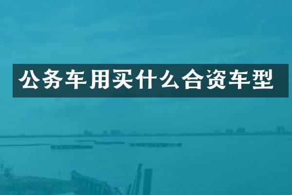 公务车用合资车型