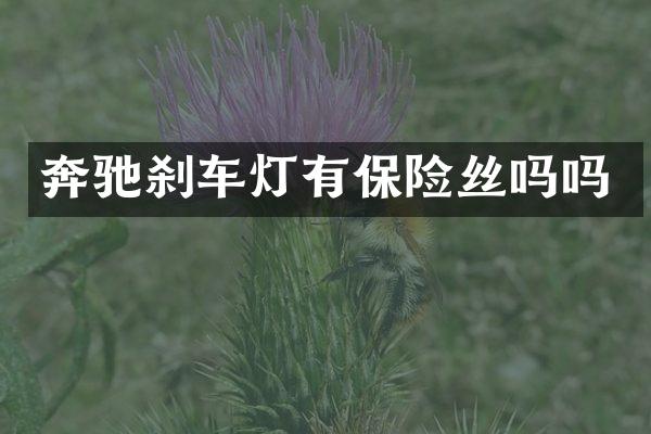 奔驰刹车灯有保险丝吗吗