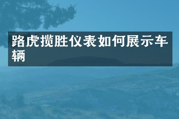 路虎揽胜仪表如何展示车辆