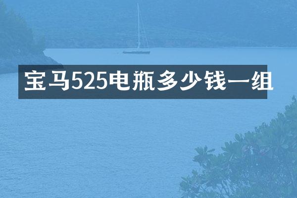 宝马525电瓶多少钱一组