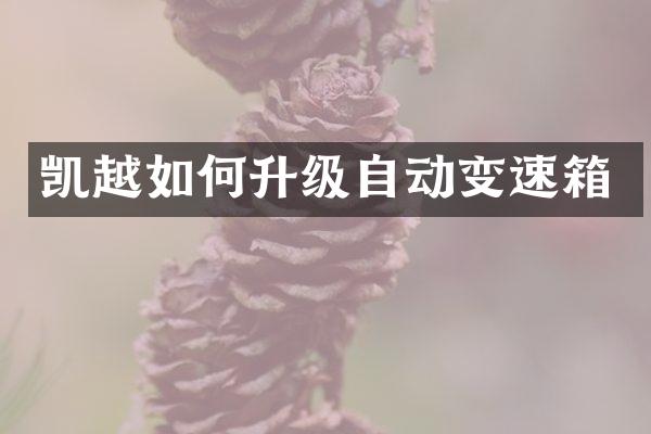 凯越如何升级自动变速箱