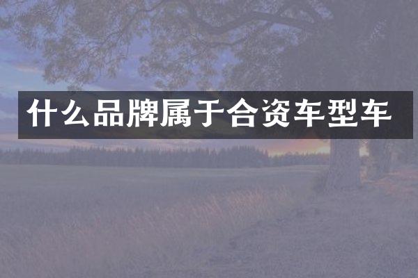 什么品牌属于合资车型车