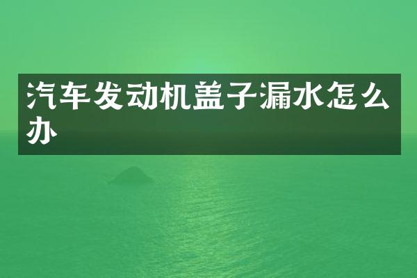 汽车发动机盖子漏水怎么办