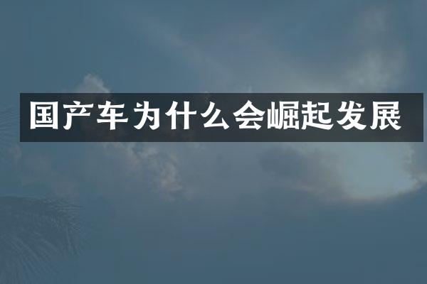 国产车为什么会崛起发展
