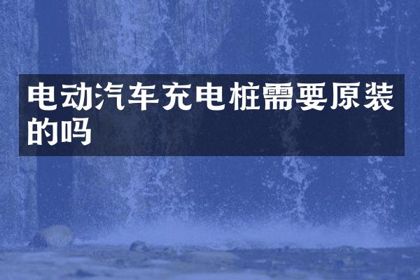 电动汽车充电桩需要原装的吗
