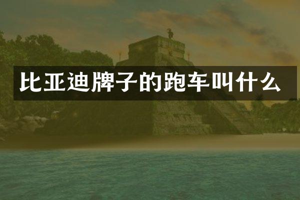 比亚迪牌子的跑车叫什么