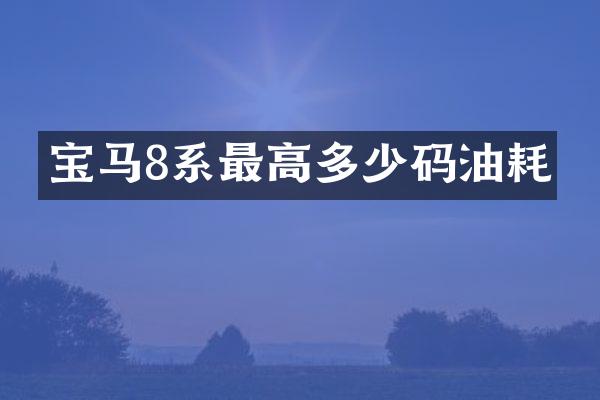 宝马8系最高多少码油耗