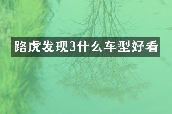 路虎发现3什么车型好看