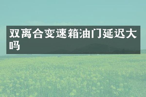 双离合变速箱油门延迟大吗