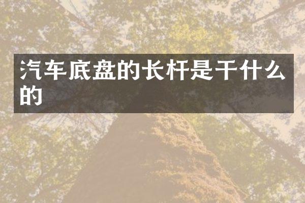 汽车底盘的长杆是干什么的