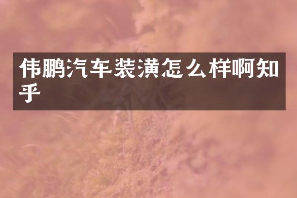 伟鹏汽车装潢怎么样啊知乎
