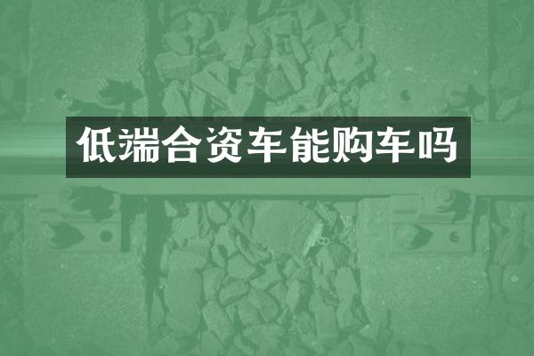 低端合资车能购车吗