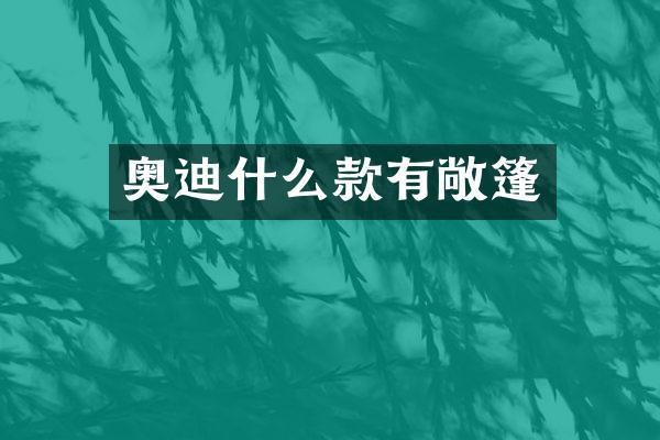 奥迪什么款有敞篷