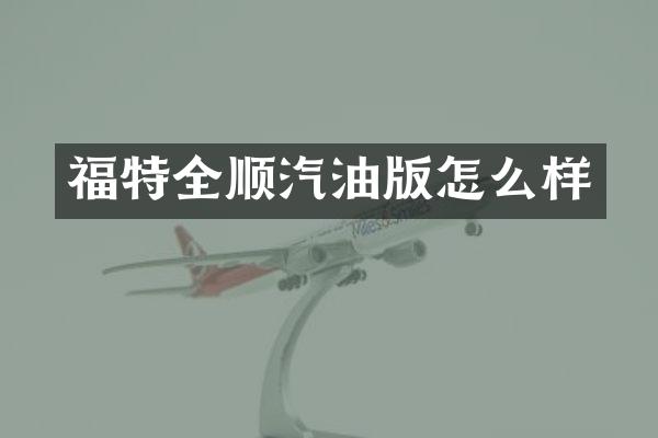 福特全顺汽油版怎么样