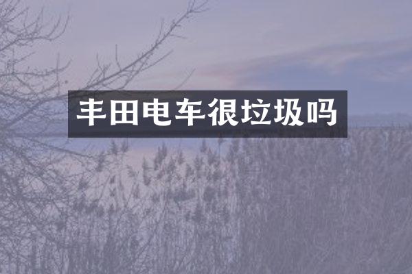 丰田电车很垃圾吗