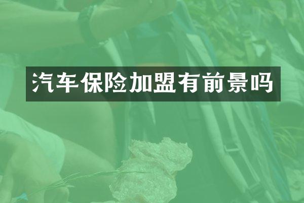 汽车保险加盟有前景吗