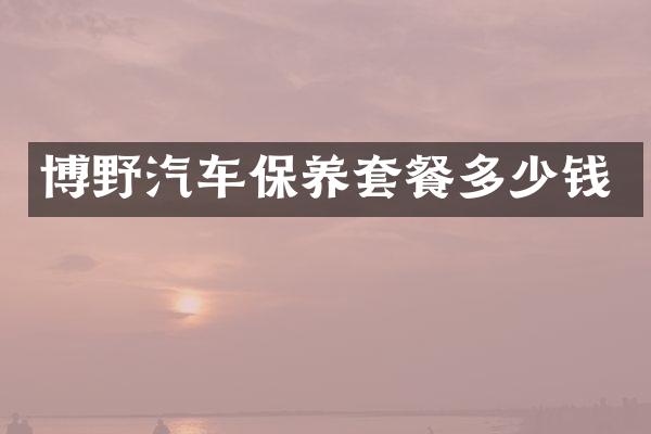 博野汽车保养套餐多少钱