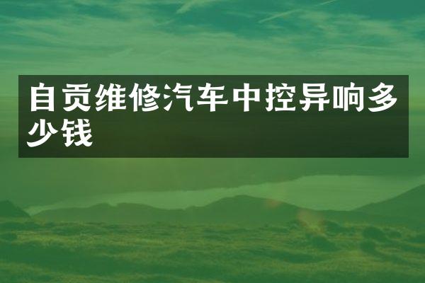 自贡维修汽车中控异响多少钱