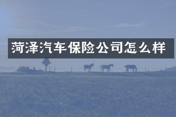 菏泽汽车保险公司怎么样