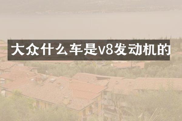 大众什么车是v8发动机的