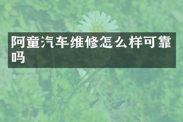 阿童汽车维修怎么样可靠吗