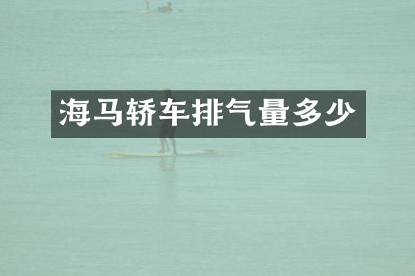 海马轿车排气量多少