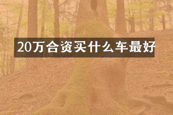20万合资买什么车最好